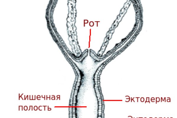 Кракен онион сайт io